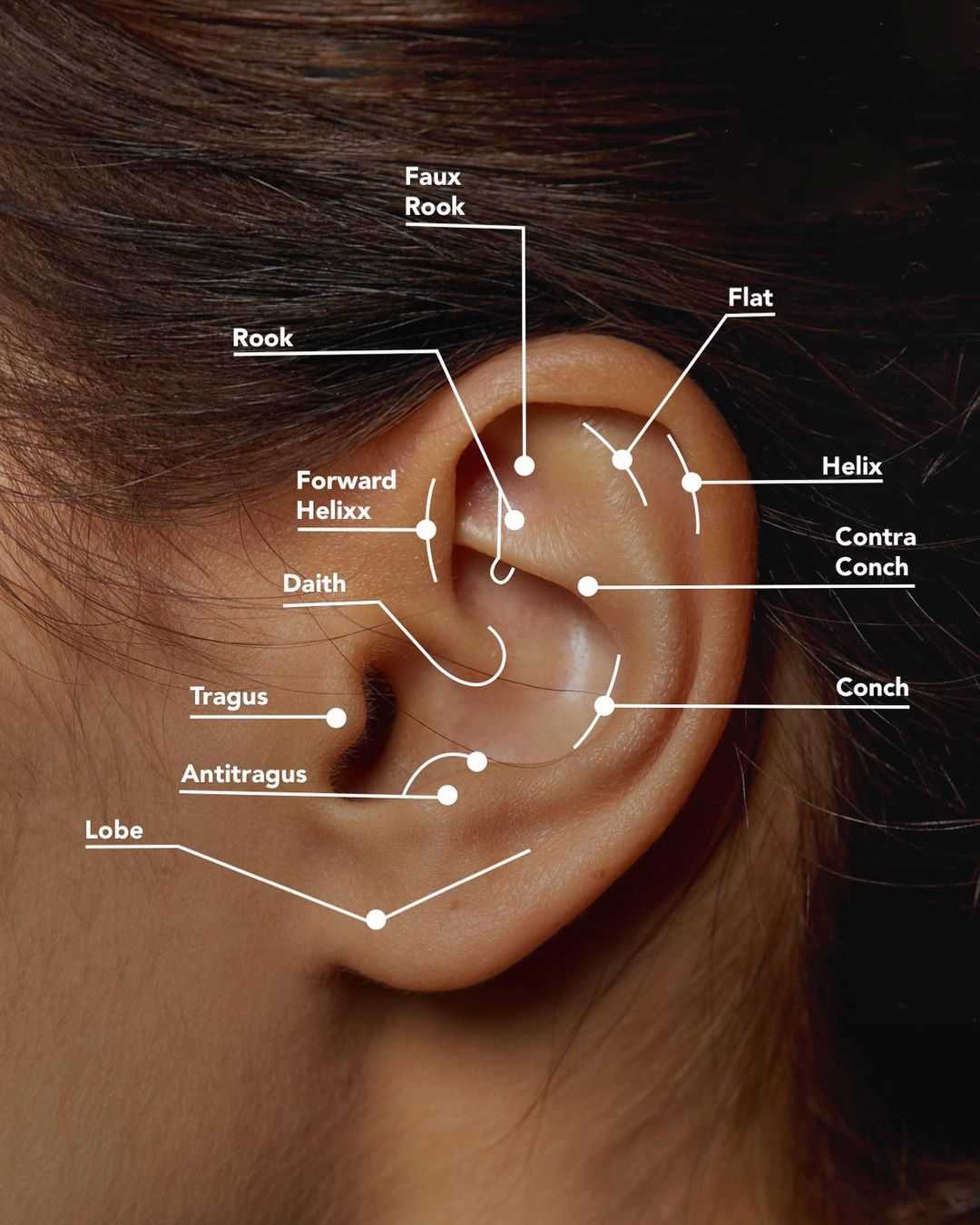 34 Types of Ear Piercings Trends and Inspiration for 2024 Womanstrong